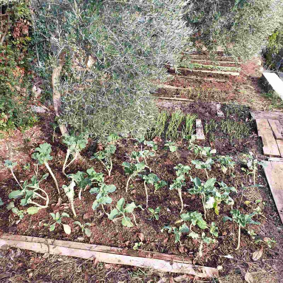 Willa Mary'S Garden Tulisevica Zewnętrze zdjęcie