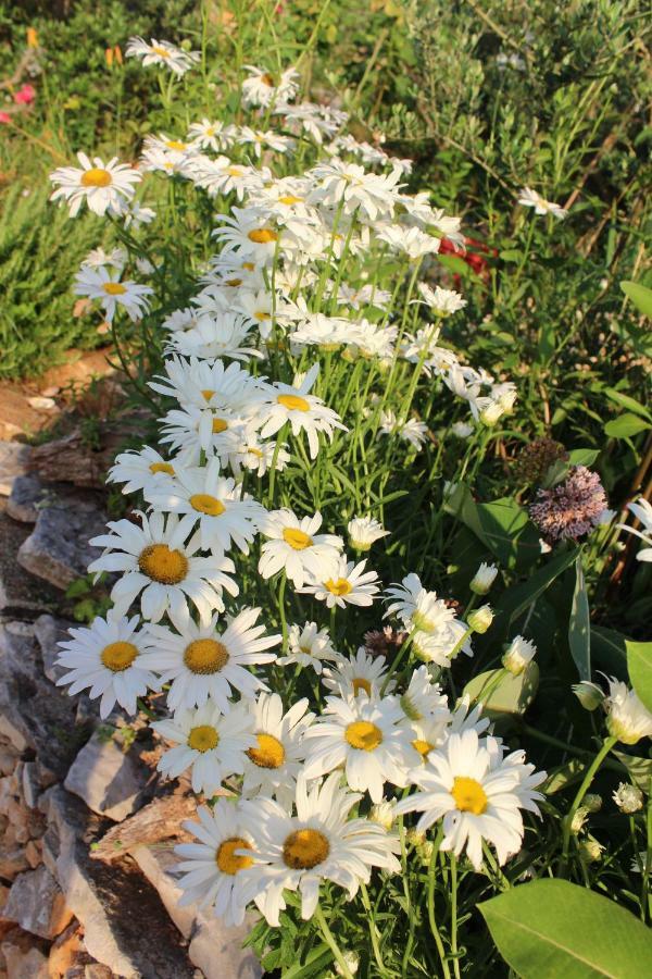 Willa Mary'S Garden Tulisevica Zewnętrze zdjęcie