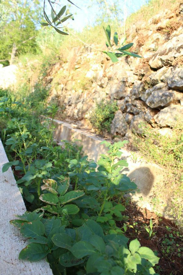 Willa Mary'S Garden Tulisevica Zewnętrze zdjęcie