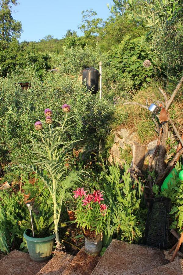 Willa Mary'S Garden Tulisevica Zewnętrze zdjęcie